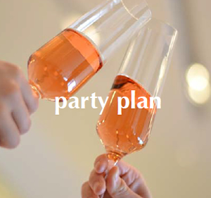 party plan